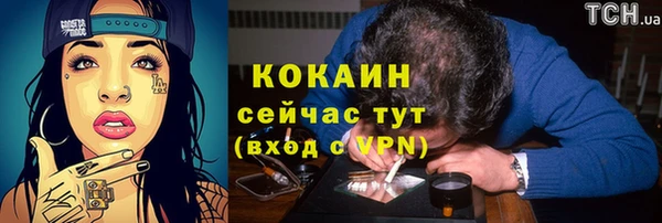 PSILOCYBIN Кодинск