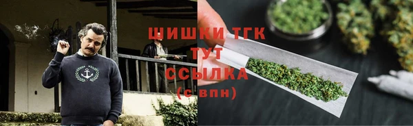 PSILOCYBIN Кодинск