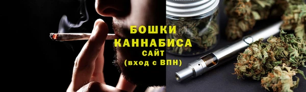 PSILOCYBIN Кодинск