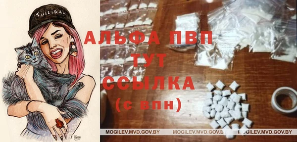 PSILOCYBIN Кодинск
