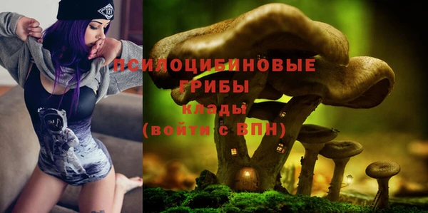 экстази Козловка