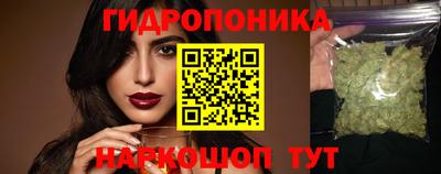 стаф Рязань