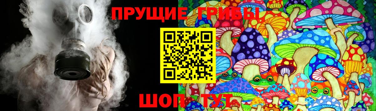 Псилоцибиновые грибы Psilocybe Усть-Кут