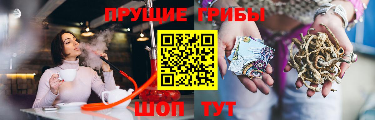 Усть-Кут  Галлюциногенные грибы Cubensis  Вход с VPN 